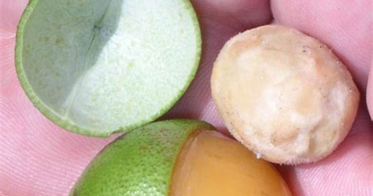 Mamoncillo Fruit