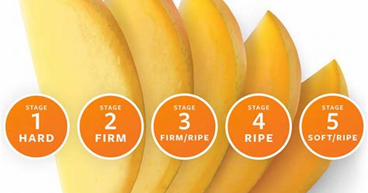 Mango Ripe