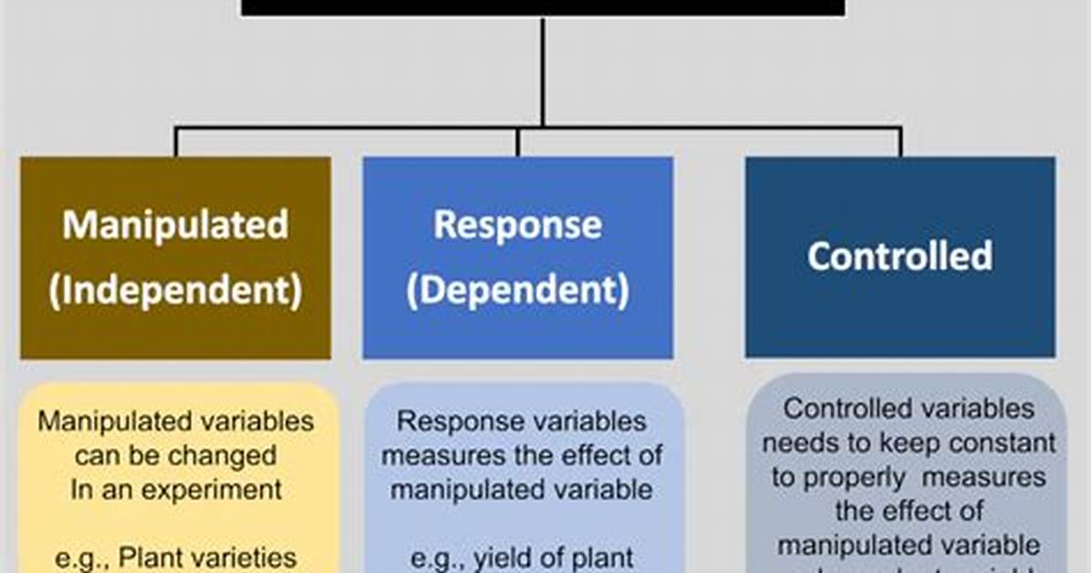 Manipulated Variable