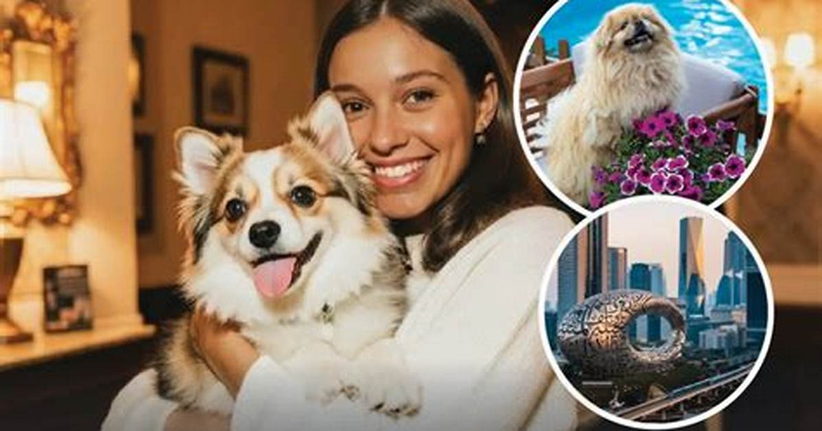 Marriott Pet Friendly