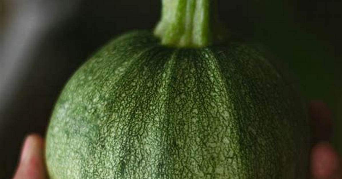 Marrow Vegetable