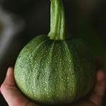 Marrow Vegetable