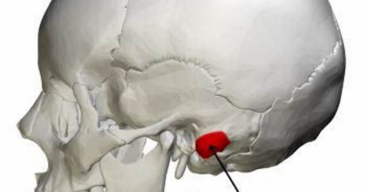 Mastoid Process Location