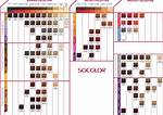 Matrix Color Chart