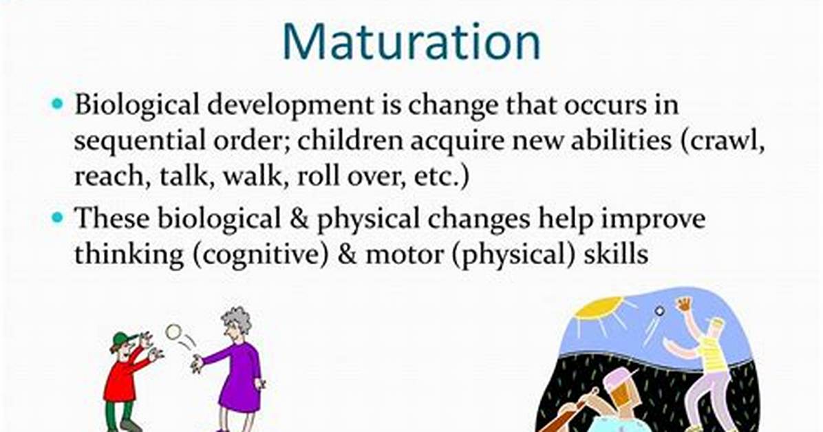 Maturation Refers To