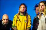 Max Cavalera Net Worth