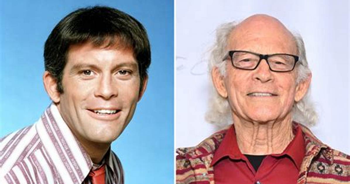 Max Gail