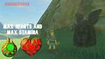 Max Stamina Botw