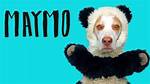 Maymo Net Worth