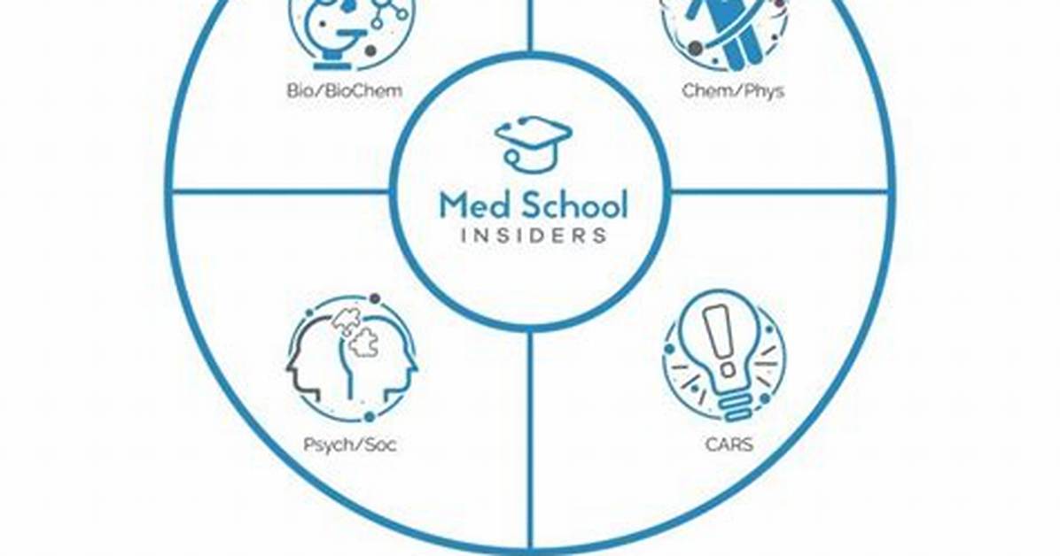 Mcat Sections Breakdown