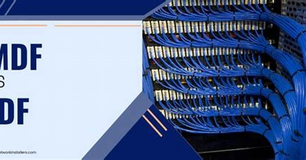 Mdf Network