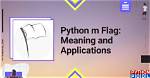 Meaning of Python -M Flag