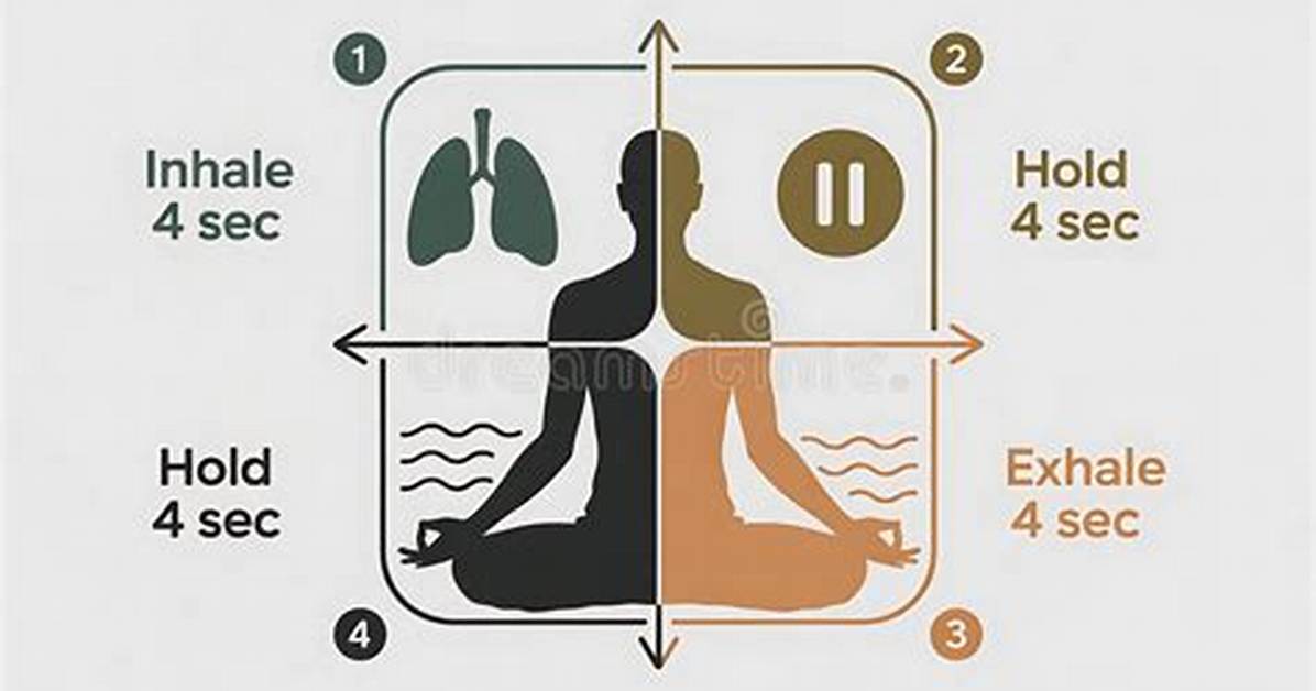 Meditative Exercise System