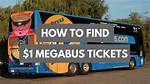 Mega Bus Ticket