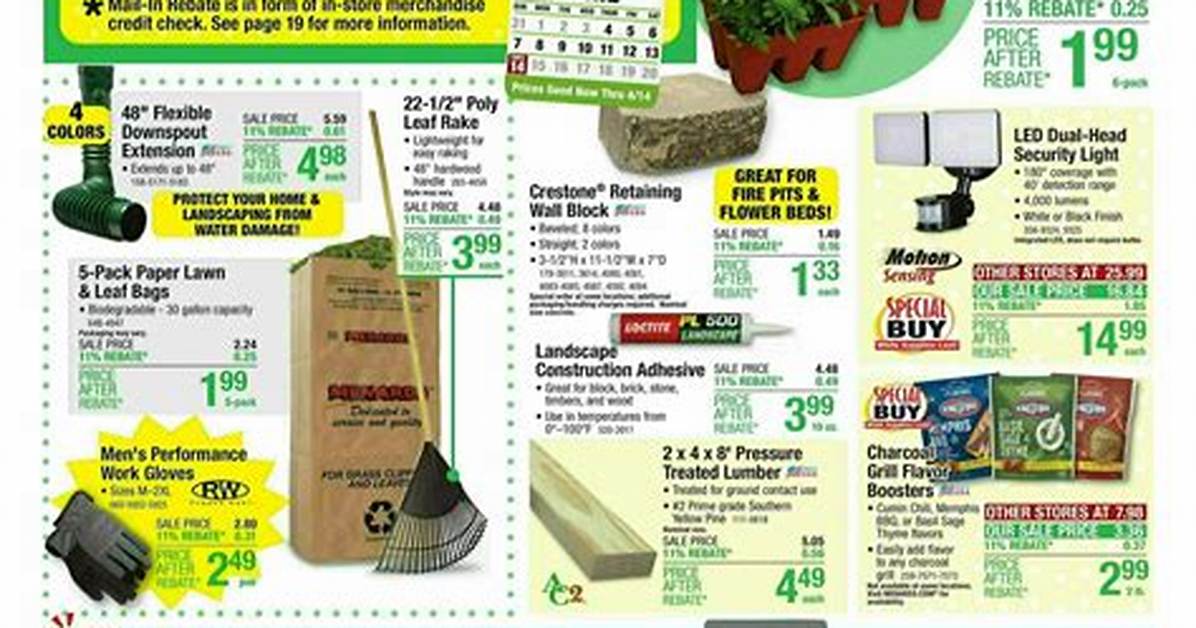 Menards 11
