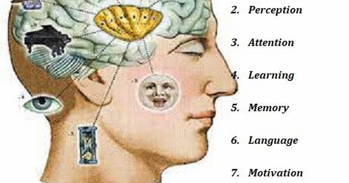 Mental Processes