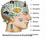 Mental Processes