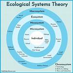 Mesosystem Definition