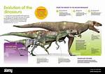 Mesozoic ___ (When Dinosaurs Evolved)