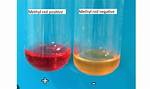 Methyl Red Test