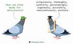 Meticulously Synonym