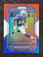 Michael Gallup