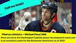 Michael Peca Net Worth