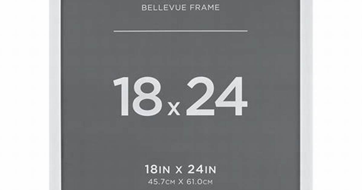 Michaels Frames 18×24