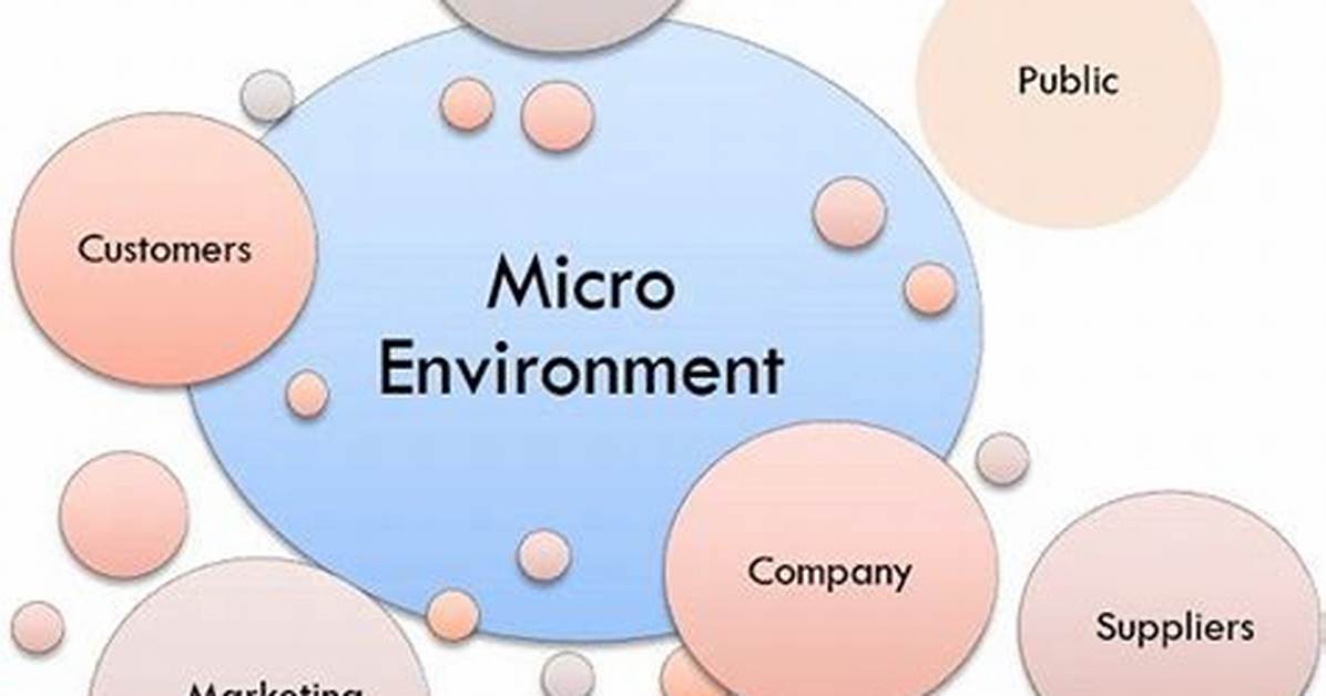 Micro Environment