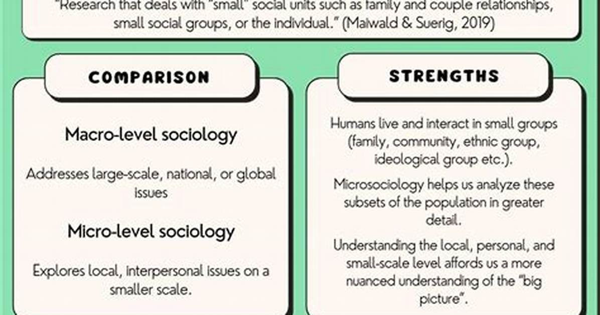 Micro Level Sociology