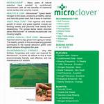 Microclover Seed