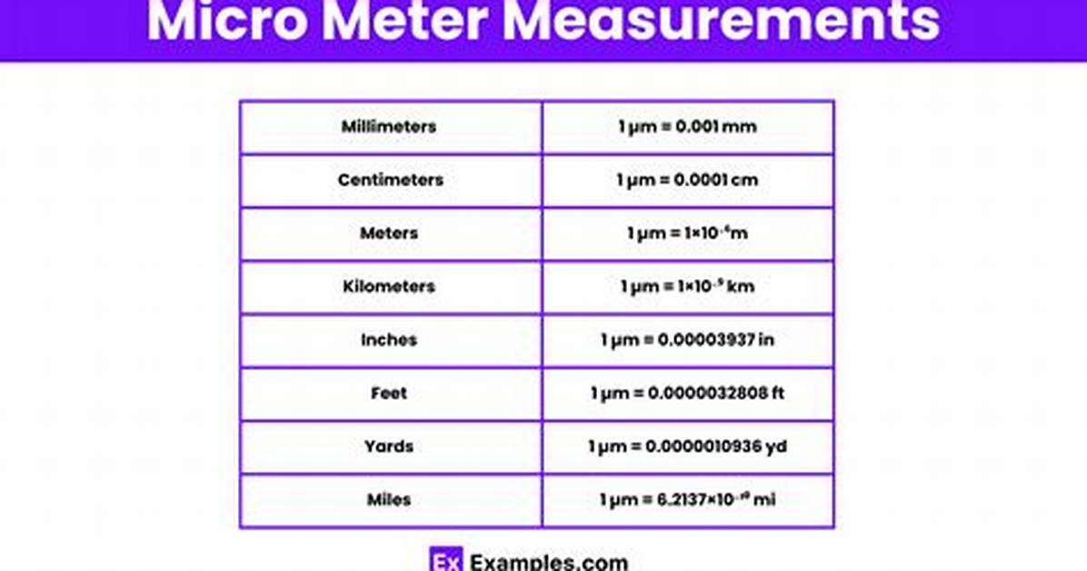 Micrometer Unit