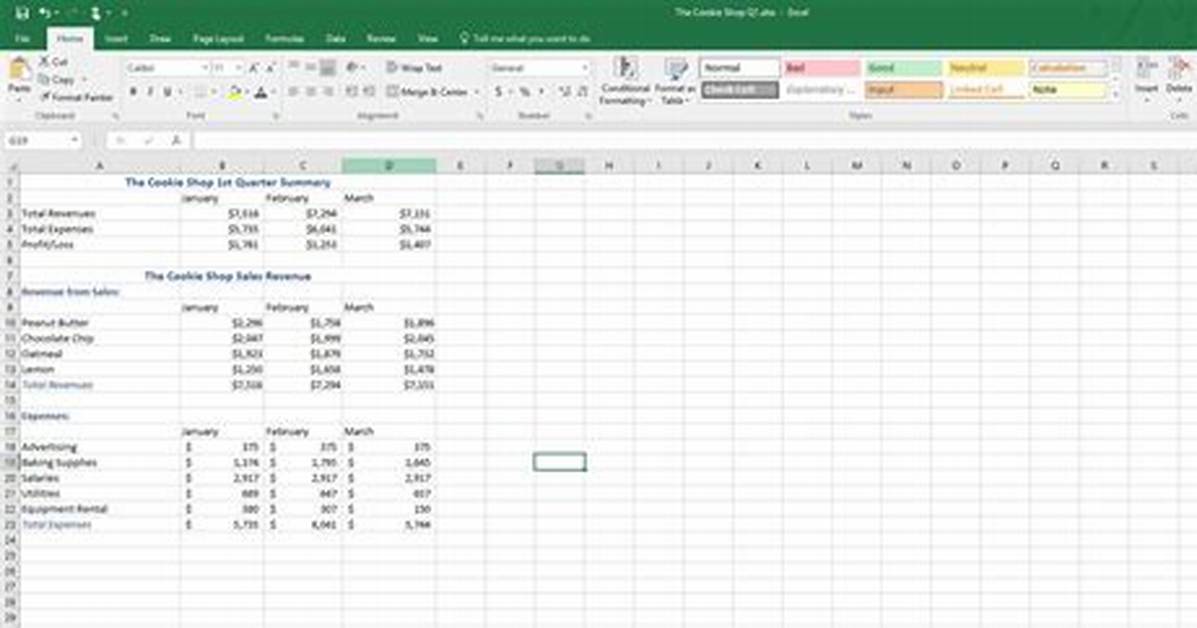 Microsoft Spreadsheet Program