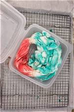 Microwave Tie Dye