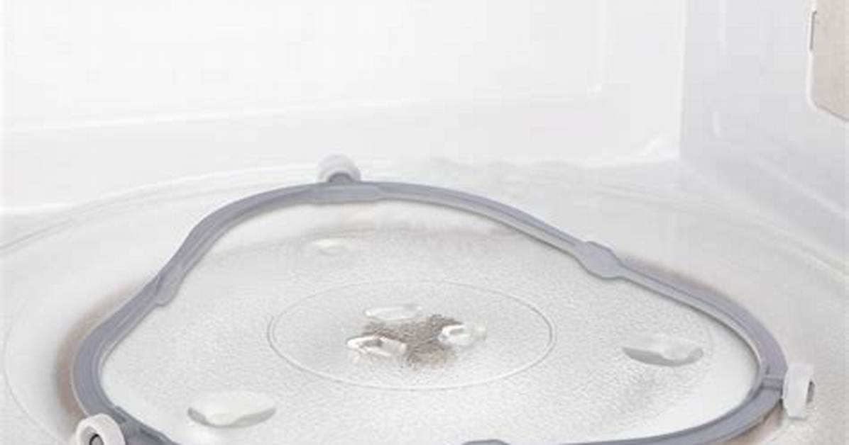 Microwave Turntable