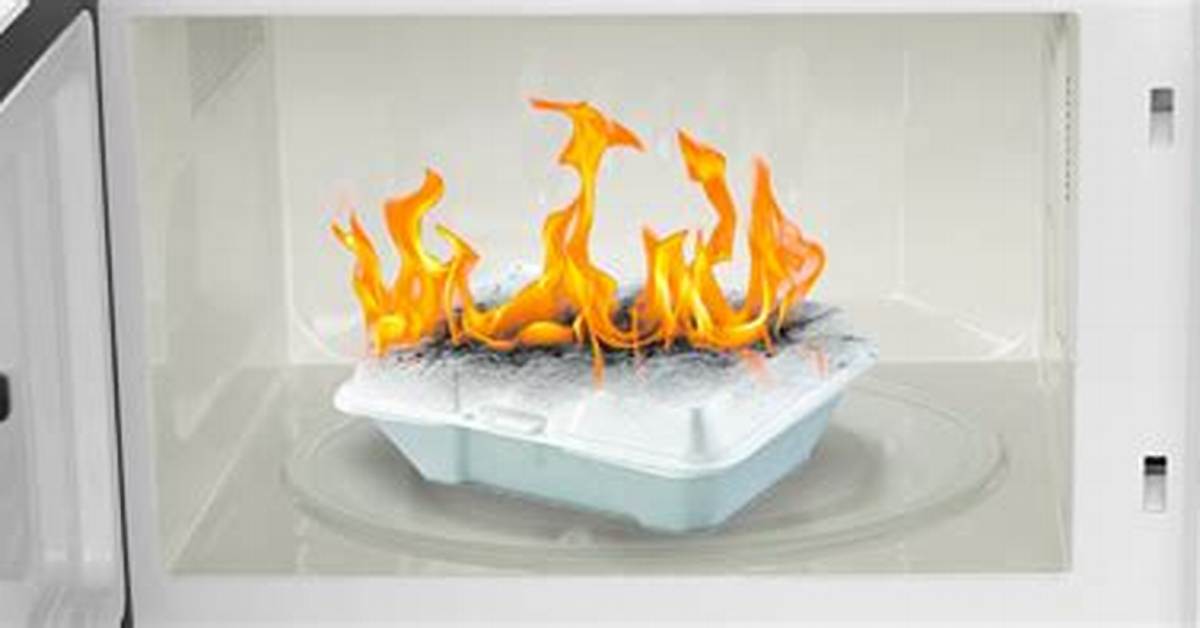 Microwaving Styrofoam