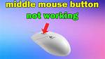 Middle Button & Scroll Do Not Work After Suspend on a Thinkpad Usb Keyboard Trackpoint