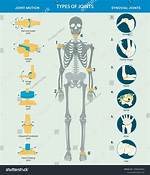 Midleg Joints