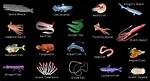 Midnight Zone Animals