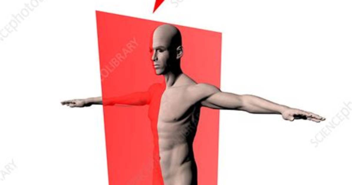 Midsagittal Plane