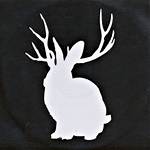 Miike Snow - Animal Lyrics Meaning
