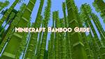Minecraft Bamboo