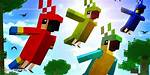 Minecraft Bird