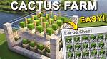 Minecraft Cactus