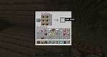 Minecraft Door