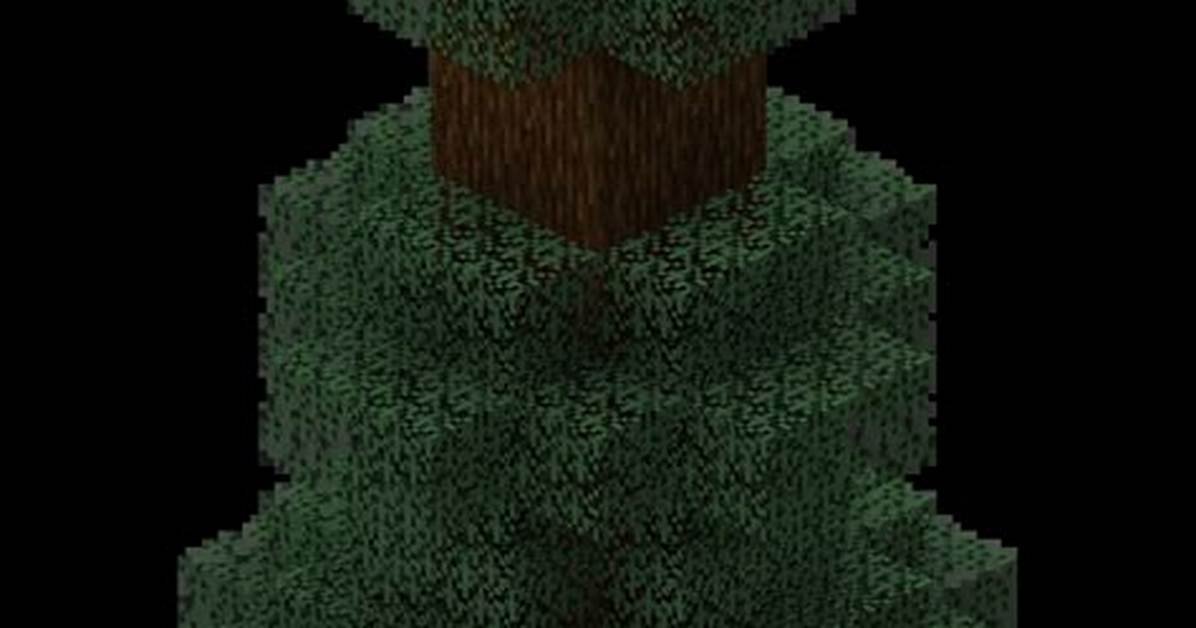 Minecraft Spruce
