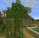 Minecraft Vines