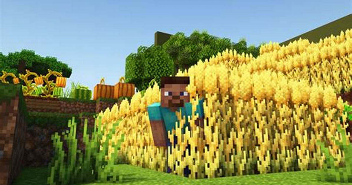 Minecraft Wheat