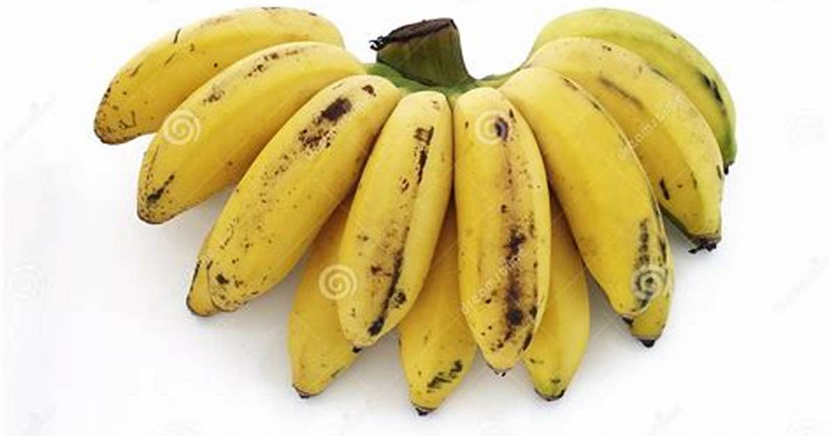 Mini Bananas