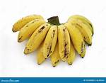 Mini Bananas